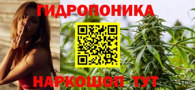 спиды Ливны