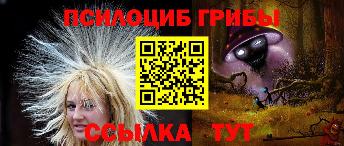 Десногорск  Псилоцибиновые грибы прущие грибы  Вход с VPN  Псилоцибиновые грибы мицелий 
