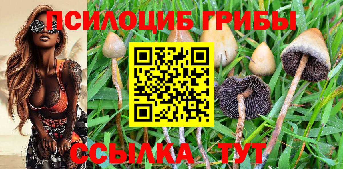 Галлюциногенные грибы мицелий Десногорск